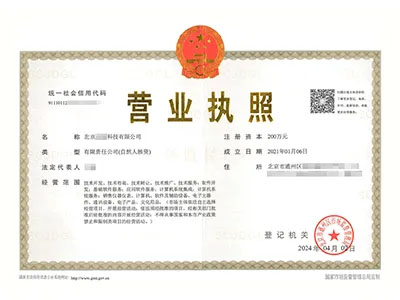 個人獨資企業